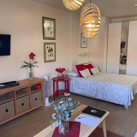 Apartamento Acogedor y Céntrico - Plaza del Charco Puerto de la Cruz  Esterno foto